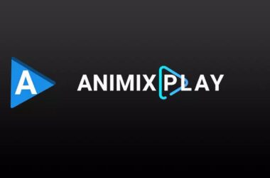 Animixplay.to Alternatives
