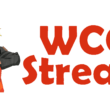 Wcostream Alternative
