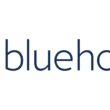 bluehost alternative
