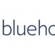 bluehost alternative