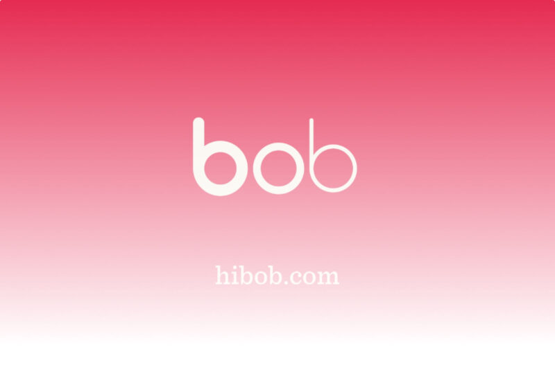 hibob alternative
